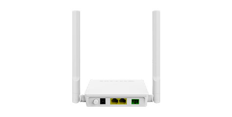 Delosmart XPON(GPON/EPON) GP8812A