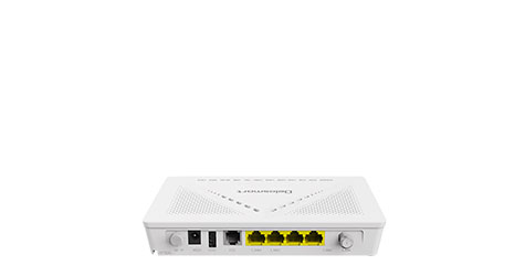 Delosmart XPON(GPON/EPON) HS8628B
