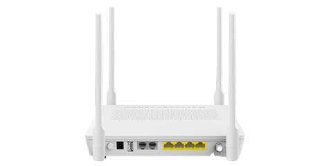 Delosmart XPON(GPON/EPON) GP8820A